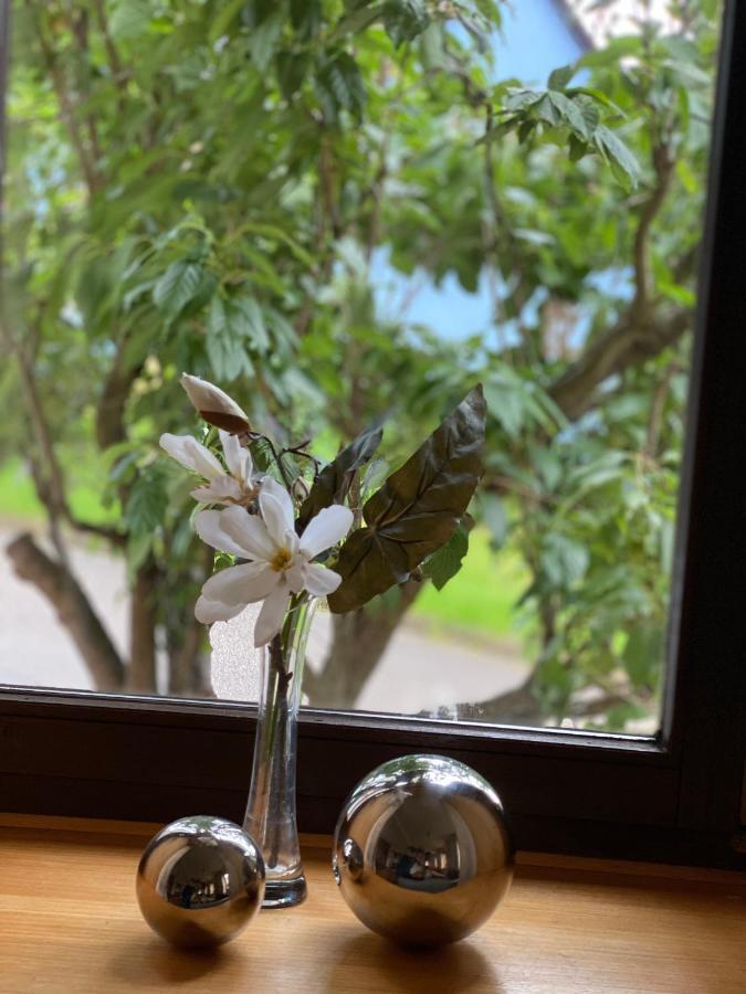 Appartamento Hopfengarten *